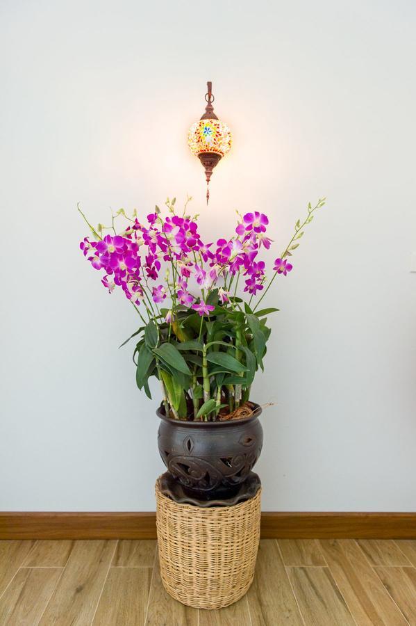 Villa Thai Orchid (Adults Only) Chiang Mai Extérieur photo
